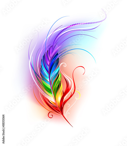 Rainbow Feather on White Background