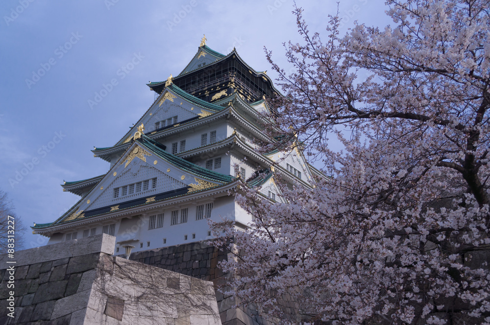 Osaka castle with cherry blossom. Japanese spring beautiful scene. Osaka castle with cherry blossom. Japanese spring beautiful scene.