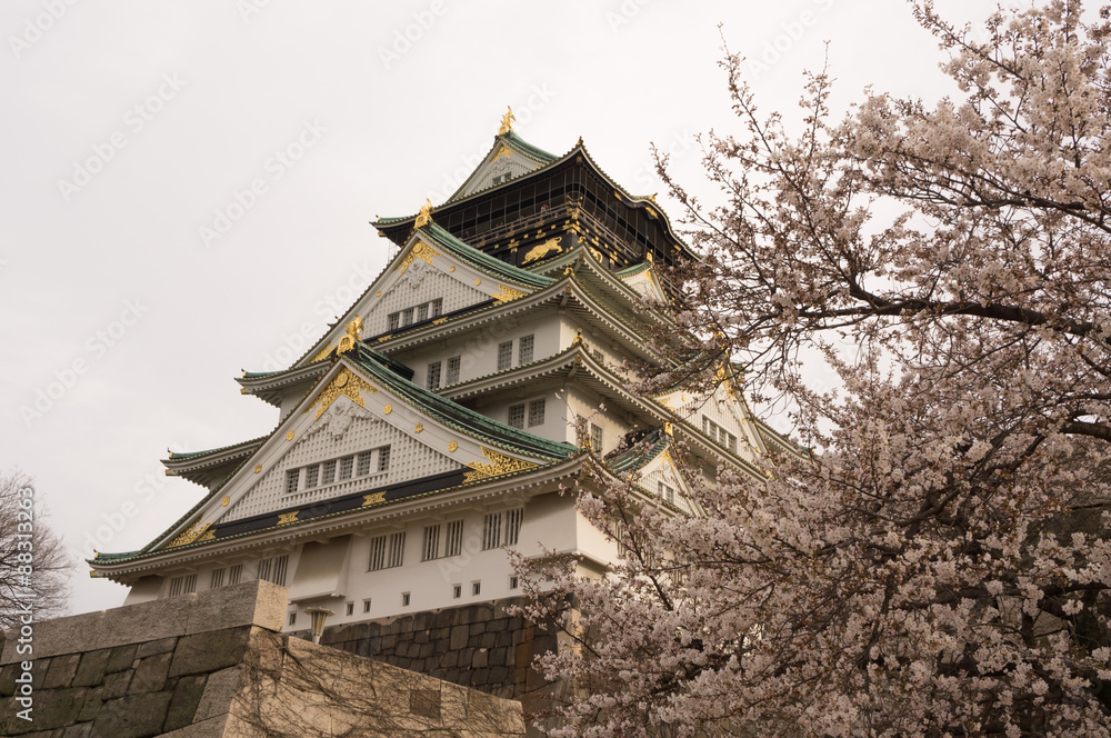 Fototapeta premium Osaka castle with cherry blossom. Japanese spring beautiful scene.
