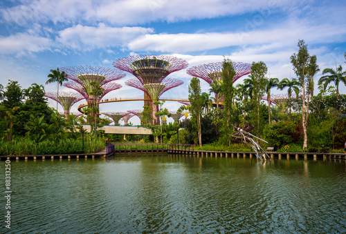 The Supertree at Gardens by the Bay