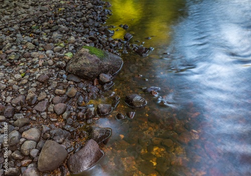 Beautiful landscape with summertime forest and river photo