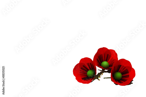 Red Poppy Flowers
