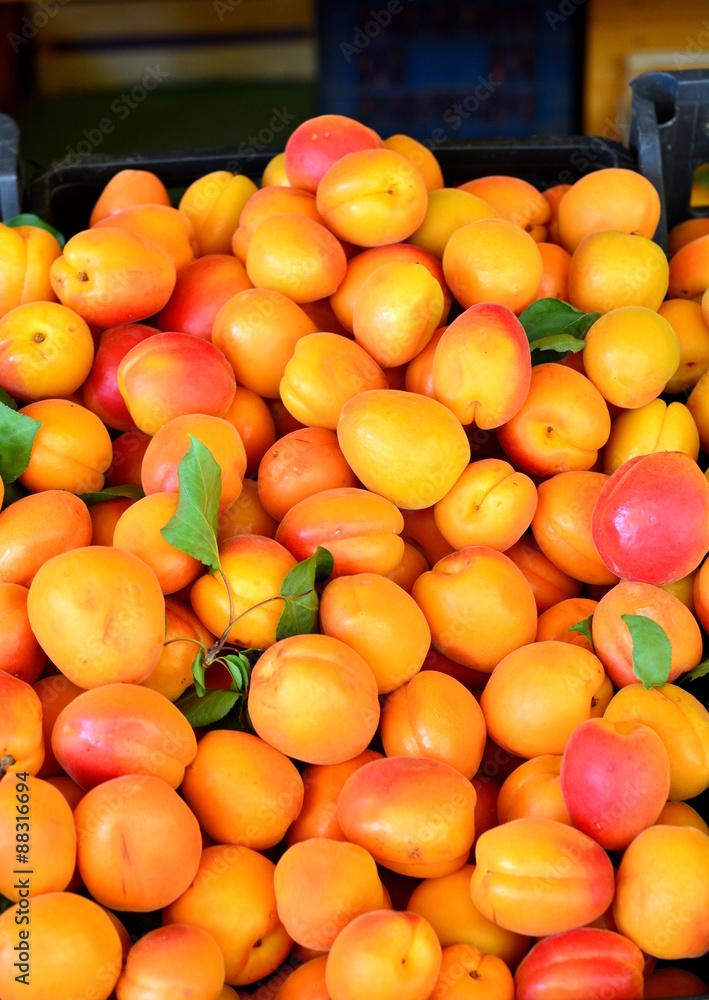 the apricots on the market