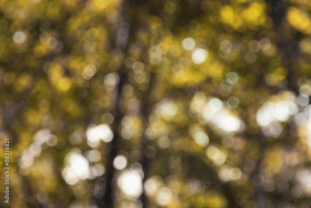Defocused abstract bokeh background Defocused abstract bokeh background