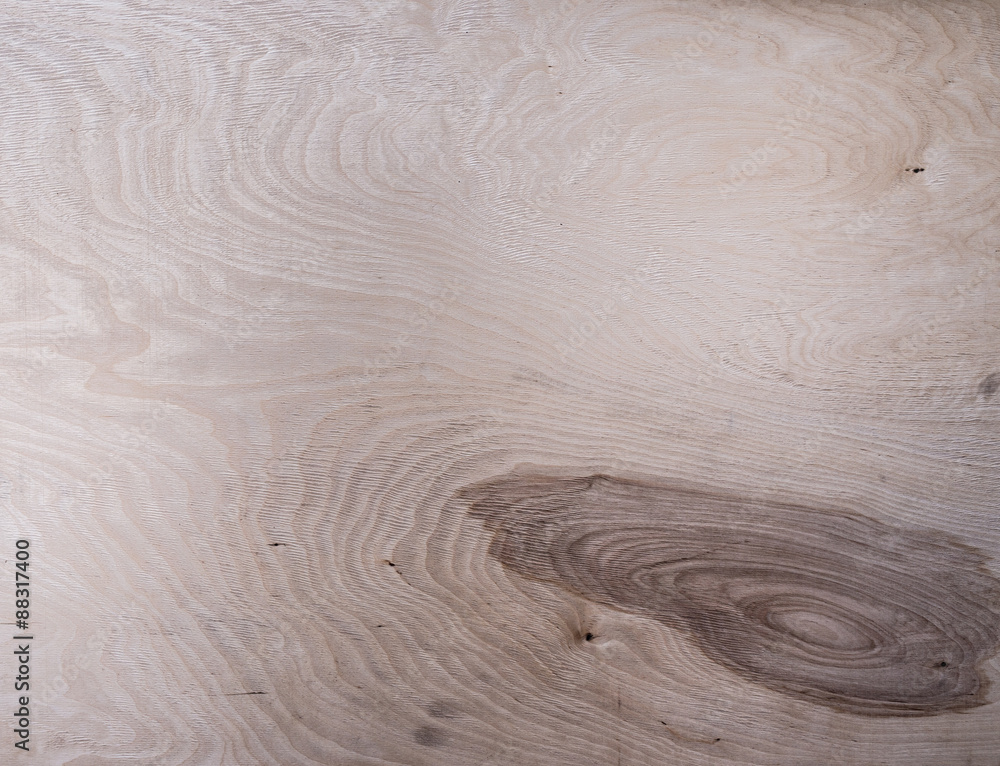Texture of wood background closeup Texture of wood background closeup