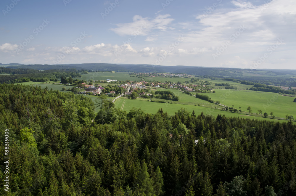 view from the tower of the forest and village in the background