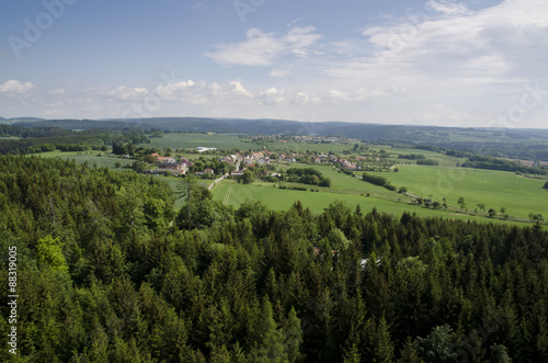 Fototapeta Naklejka Na Ścianę i Meble -  view from the tower of the forest and village in the background
