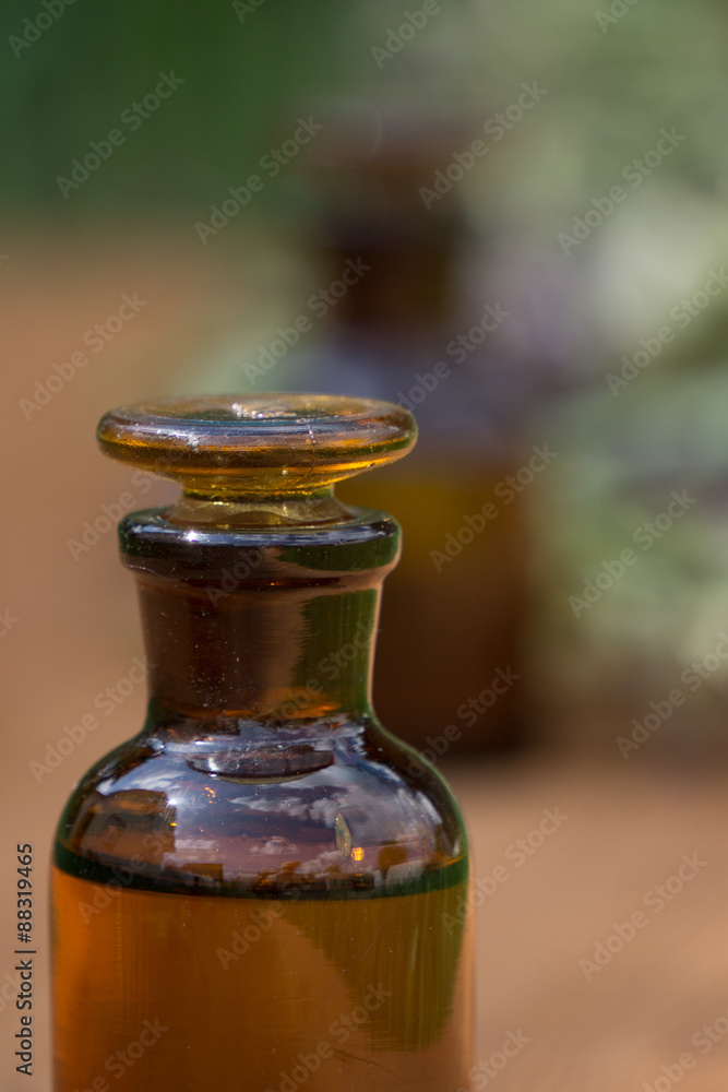 essential oil in little bottle and medical flowers herbs essential oil in little bottle and medical flowers herbs