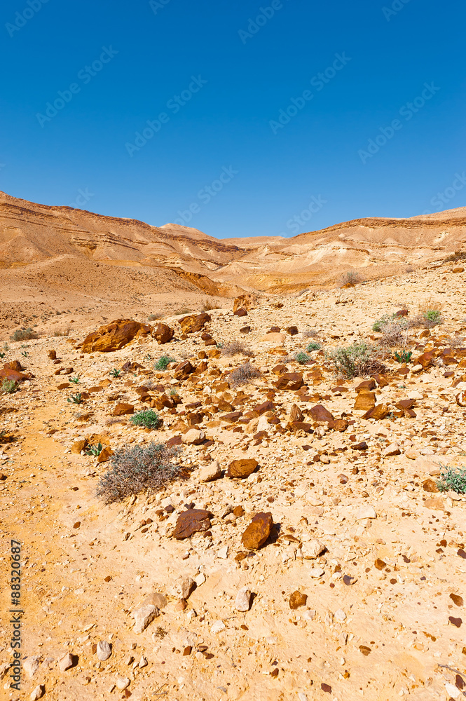 Rocky Hills