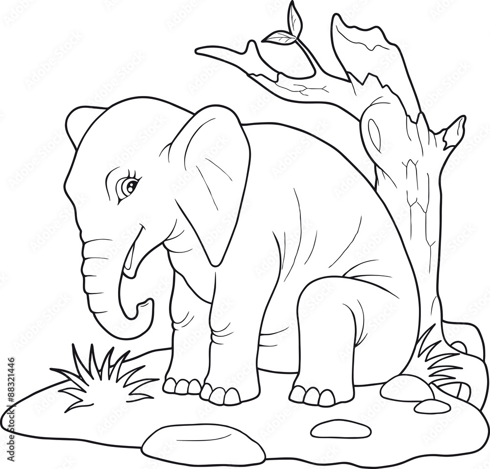 elephant elephant