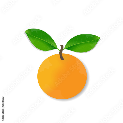 Fresh orange