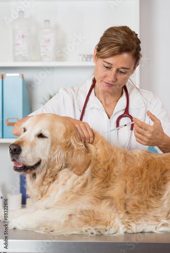 Veterinary clinic