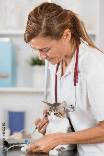 Veterinary clinic