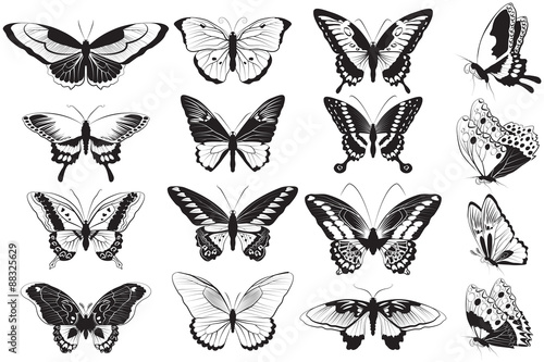 Vector set of Black and white butterflies