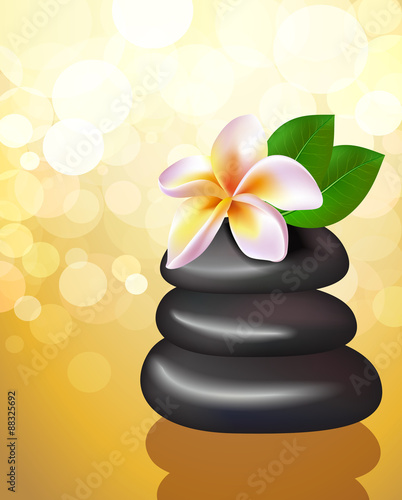 Spa vector illustration of stones with frangipani flower