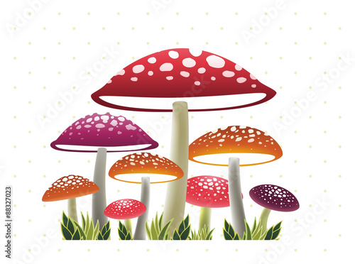 mushroom wonder land