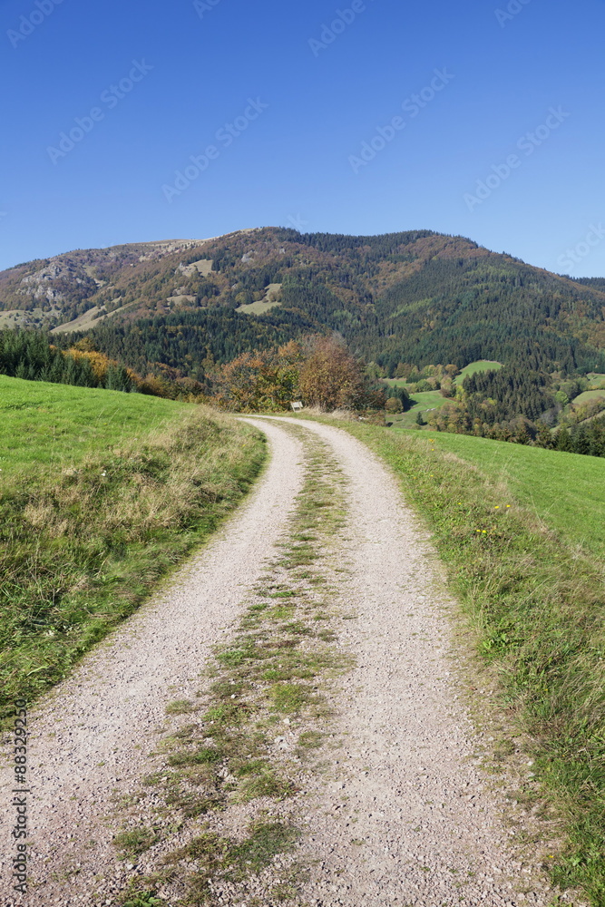 Path leading to Belchen Mountain, Black Forest, Baden Wurttemberg, Germany Path leading to Belchen Mountain, Black Forest, Baden Wurttemberg, Germany