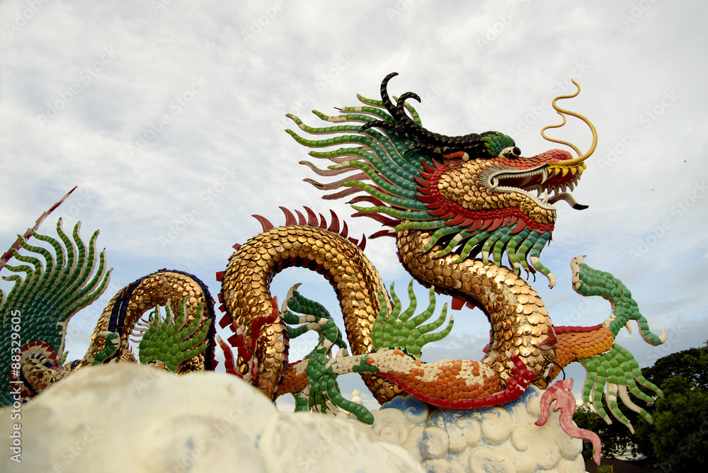 Fototapeta premium Dragon