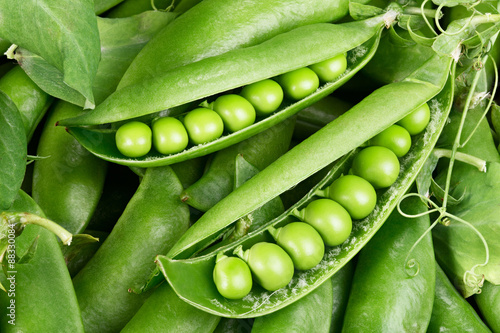 Canvastavla green beans