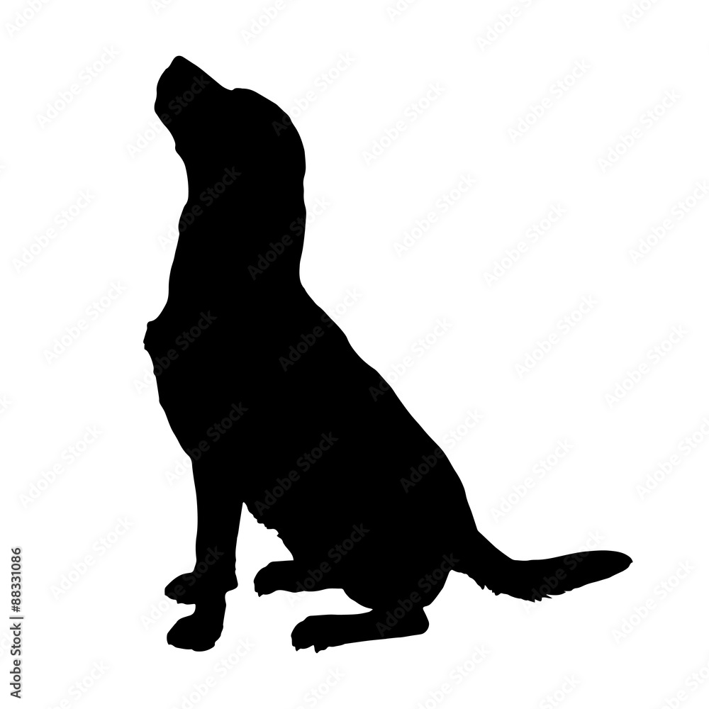 Vector silhouette of a dog.