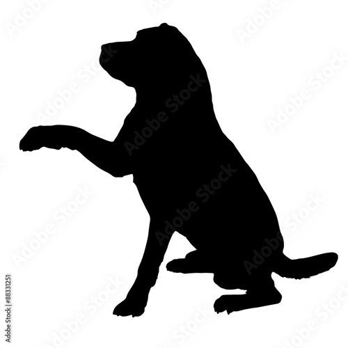 Vector silhouette of a dog.