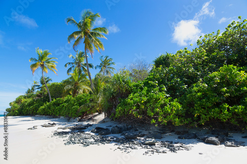 A deserted beach and tropical vegetation on an island in the Northern Huvadhu Atoll, Maldives