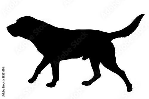 Vector silhouette of a dog.