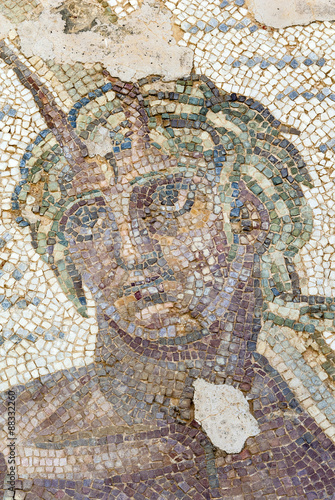 Roman mosaic, Carthage National Museum, Byrsa Hill, Carthage, Tunis, Tunisia photo