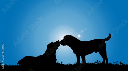Vector silhouette of a dog.