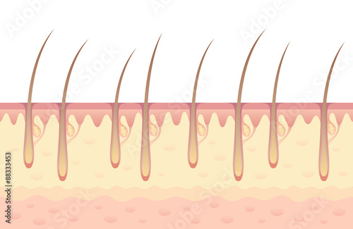 Hair growth