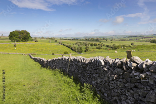 Dry stone wall, farmers' fields and a copse of trees, Limestone Way, Monyash, Peak District National Park, Derbyshire photo