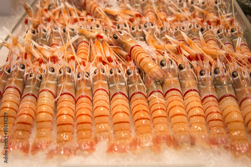 Scampi