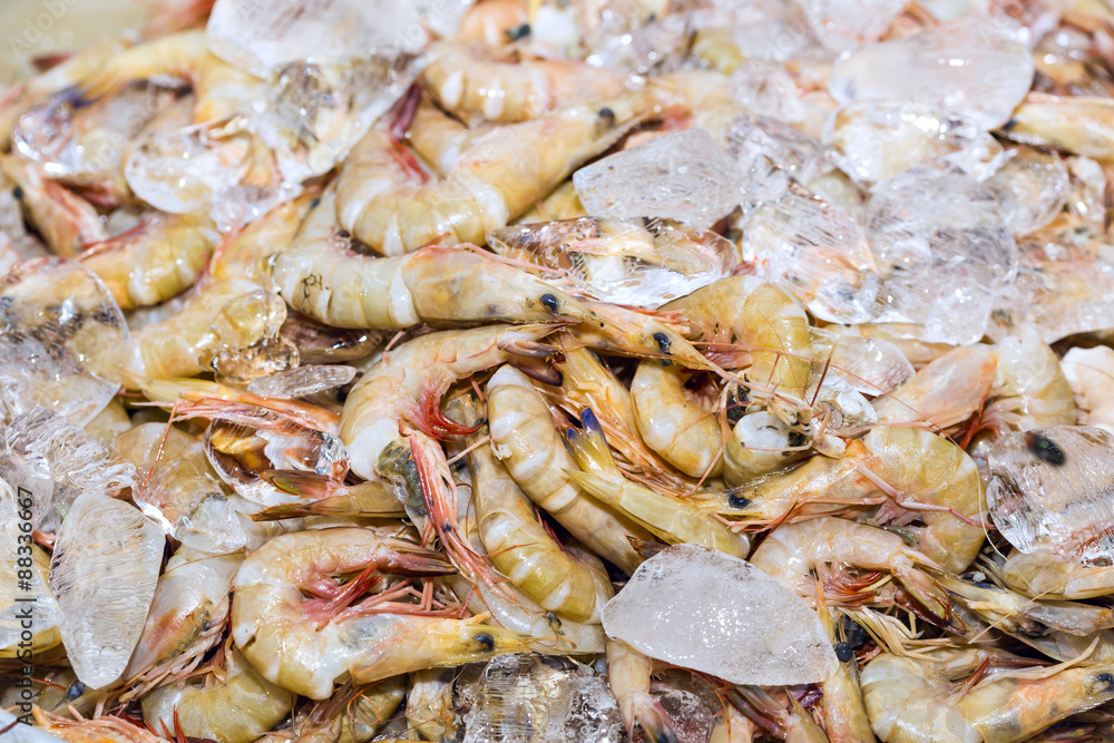 Fresh shrimps on ice exposition at the seafood market In Thailan Fresh shrimps on ice exposition at the seafood market In Thailan
