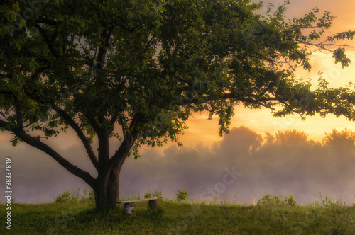 River in the early morning mist