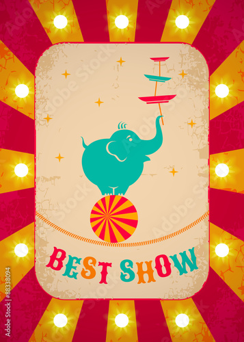 elephant on ball