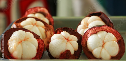 Foto The Mangosteen Fruit in Garden of Thailand