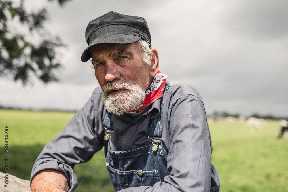 Elderly farmer leaning on a paddock fence