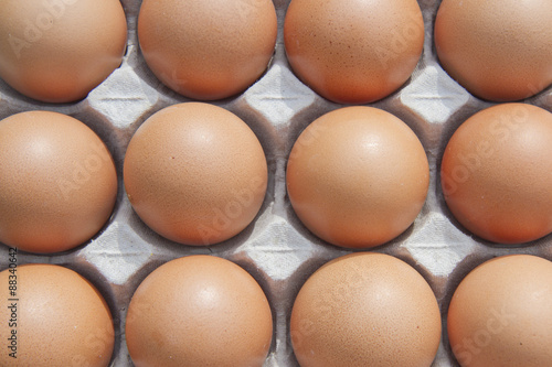 fresh hen eggs