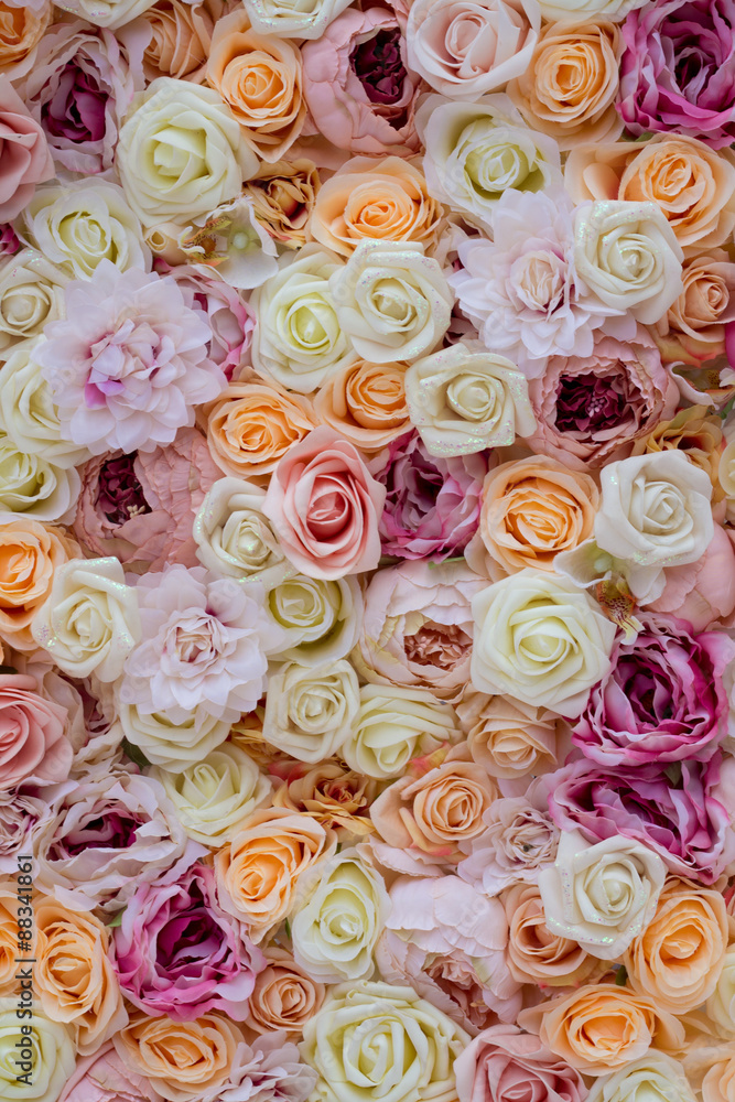 Background of Roses. Decorations at the Wedding Ceremony.
