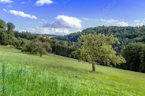 Nature Germany Baden-Würtenberg.