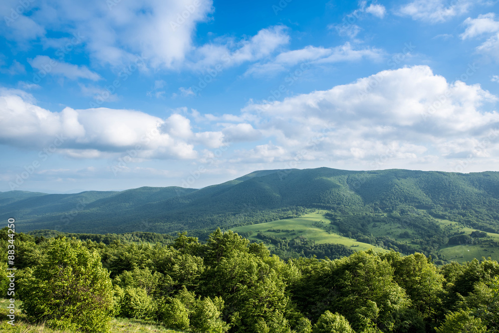 Fototapeta premium Połonina Caryńska