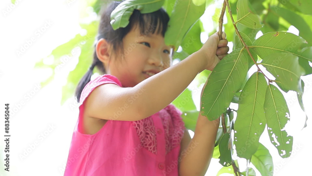 Happy asian girl playing with green leaf in the park,Bangkok Thailand Happy asian girl playing with green leaf in the park,Bangkok Thailand