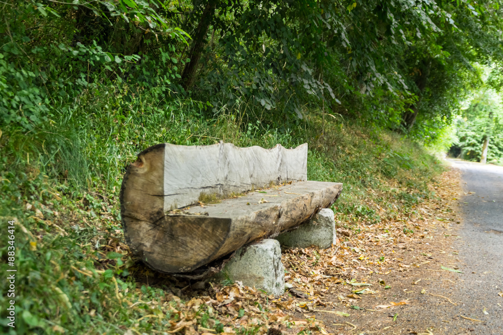 Obraz premium Arbre banc