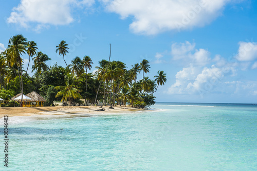 Sandy beach and palm trees of Pigeon Point, Tobago, Trinidad and Tobago photo