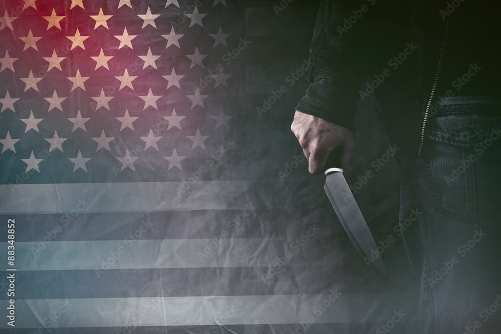 Εκτύπωση καμβά American serial killer