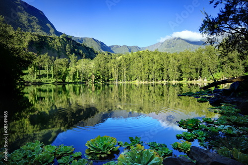 Mare à poule d'eau, Salazie.
