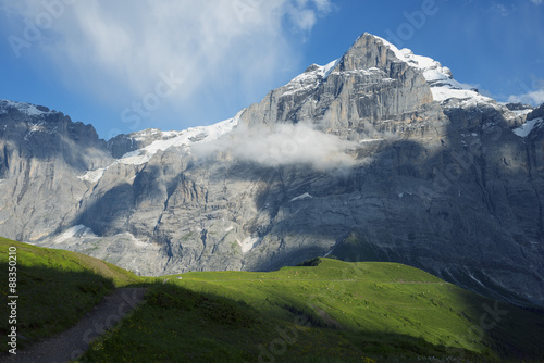 Wallpaper Mural Wetterhorn 3692m, Jungfrau-Aletsch, Swiss Alps Torontodigital.ca