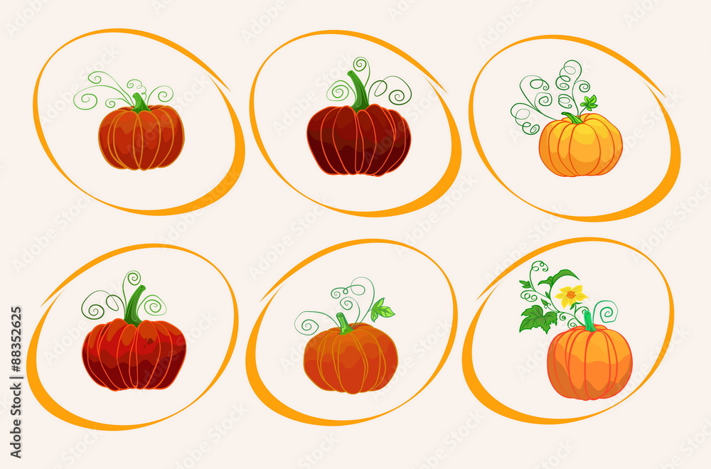vector six different pumpkins vector six different pumpkins