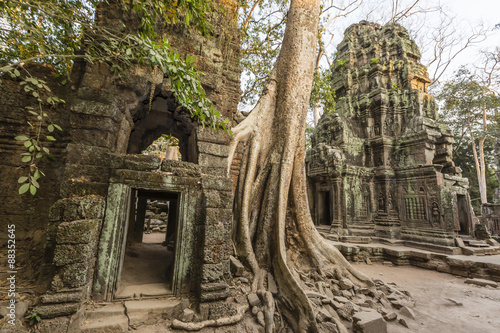 Ta Prohm Temple, being destroyed by jungle growth, Angkor, Cambodia #88352645