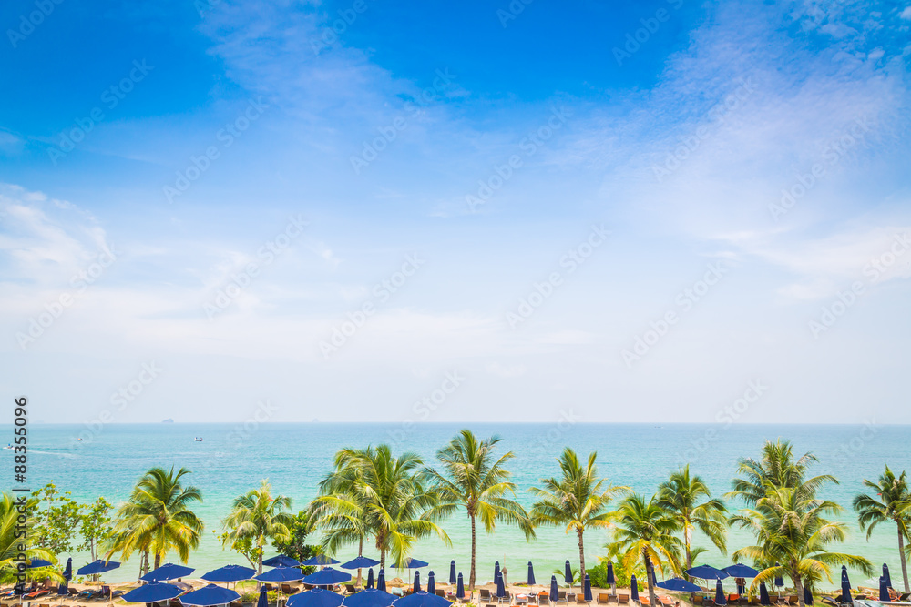 Naklejka premium Palm tree with beautiful seascape